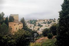 Alhambra-Palace-08-0032