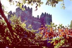 Bunratty_Castle-03-0003