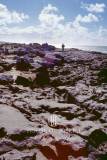 The_Burren-03-0025