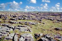 The_Burren-03-0026