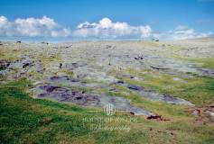 The_Burren-03-0028