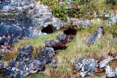 The_Burren-03-0029