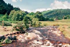 Glendalough-0002