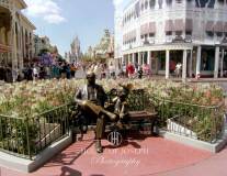 Walt-Disney-World-314