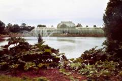 Kew-Gardens-04-0069