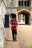 Windsor-04-0039